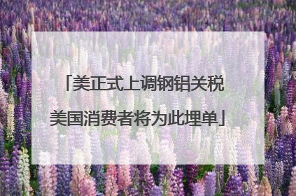 美正式上调钢铝关税 美国消费者将为此埋单