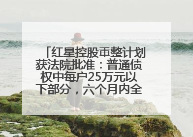 红星控股重整计划获法院批准：普通债权中每户25万元以下部分，六个月内全额现金清偿