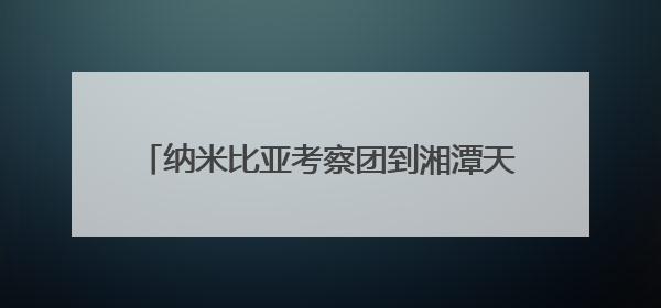 纳米比亚考察团到湘潭天易经开区考察洽谈交流
