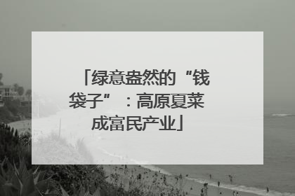 绿意盎然的“钱袋子”：高原夏菜成富民产业