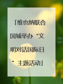 维也纳联合国城举办“文明对话国际日”主题活动