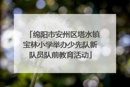 绵阳市安州区塔水镇宝林小学举办少先队新队员队前教育活动