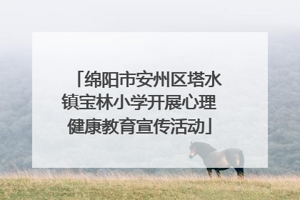 绵阳市安州区塔水镇宝林小学开展心理健康教育宣传活动