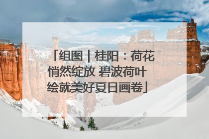 组图｜桂阳：荷花悄然绽放 碧波荷叶绘就美好夏日画卷
