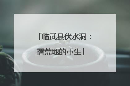 临武县伏水洞：撂荒地的重生