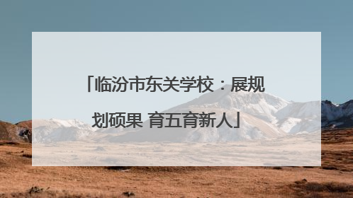 临汾市东关学校：展规划硕果 育五育新人