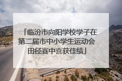 临汾市向阳学校学子在第二届市中小学生运动会田径赛中喜获佳绩