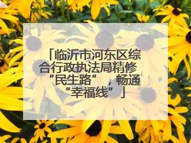 临沂市河东区综合行政执法局精修“民生路”，畅通“幸福线”