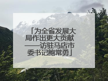 为全省发展大局作出更大贡献——访驻马店市委书记鲍常勇