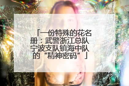 一份特殊的花名册：武警浙江总队宁波支队镇海中队的“精神密码”