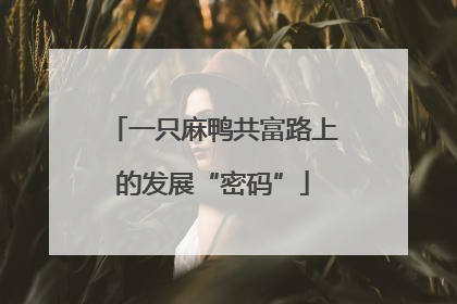一只麻鸭共富路上的发展“密码”