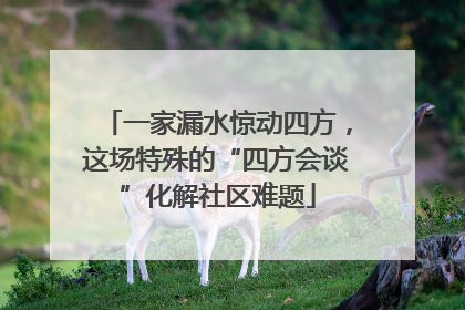 一家漏水惊动四方，这场特殊的“四方会谈”化解社区难题