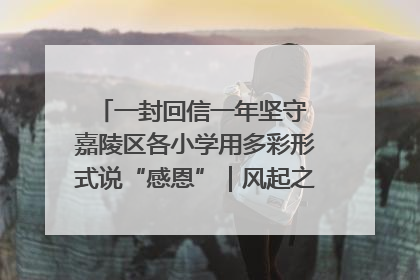 一封回信一年坚守 嘉陵区各小学用多彩形式说“感恩”｜风起之江 扶摇直上