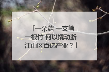 一朵菇 一支笔 一根竹 何以撬动浙江山区百亿产业？