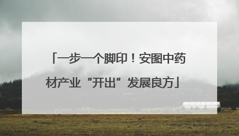 一步一个脚印！安图中药材产业“开出”发展良方
