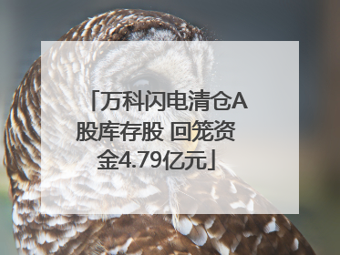 万科闪电清仓A股库存股 回笼资金4.79亿元