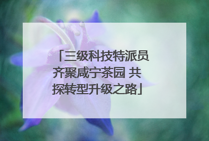 三级科技特派员齐聚咸宁茶园 共探转型升级之路