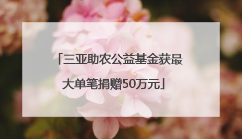 三亚助农公益基金获最大单笔捐赠50万元