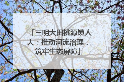 三明大田桃源镇人大：推动河流治理，筑牢生态屏障