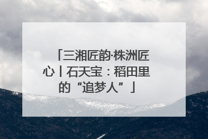 三湘匠韵·株洲匠心丨石天宝：稻田里的“追梦人”