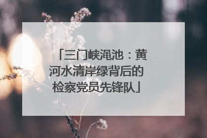 三门峡渑池：黄河水清岸绿背后的检察党员先锋队