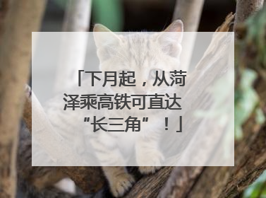 下月起，从菏泽乘高铁可直达“长三角”！