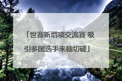 世赛新增项交流赛 吸引多国选手来穗切磋