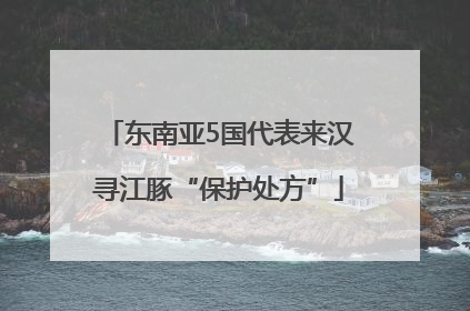 东南亚5国代表来汉寻江豚“保护处方”
