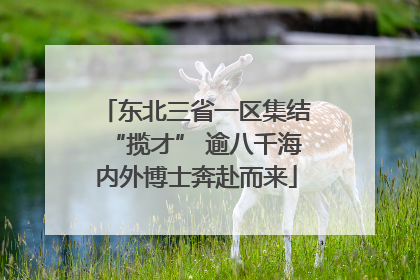 东北三省一区集结“揽才” 逾八千海内外博士奔赴而来