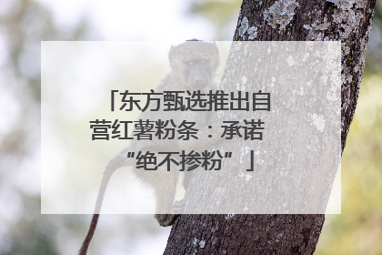 东方甄选推出自营红薯粉条：承诺“绝不掺粉”