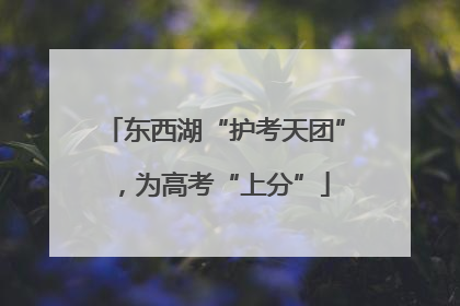 东西湖“护考天团”，为高考“上分”