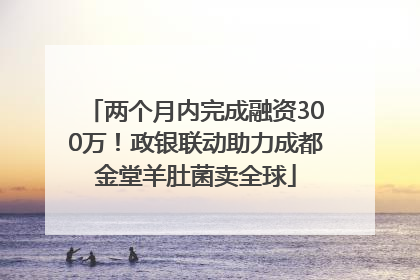 两个月内完成融资300万！政银联动助力成都金堂羊肚菌卖全球