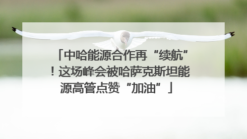 中哈能源合作再“续航”！这场峰会被哈萨克斯坦能源高管点赞“加油”