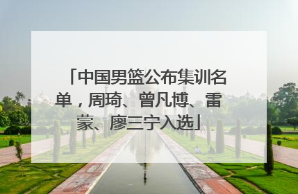 中国男篮公布集训名单，周琦、曾凡博、雷蒙、廖三宁入选