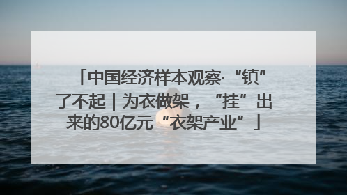 中国经济样本观察·“镇”了不起｜为衣做架，“挂”出来的80亿元“衣架产业”