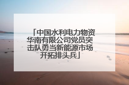 中国水利电力物资华南有限公司党员突击队勇当新能源市场开拓排头兵