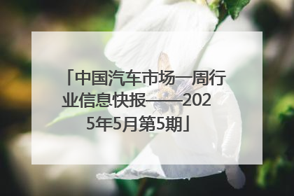 中国汽车市场一周行业信息快报——2025年5月第5期