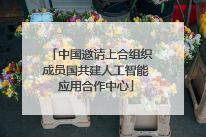 中国邀请上合组织成员国共建人工智能应用合作中心