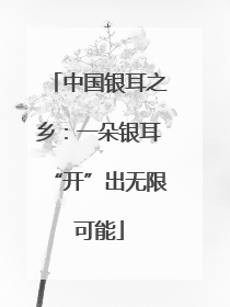 中国银耳之乡：一朵银耳“开”出无限可能