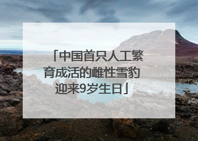 中国首只人工繁育成活的雌性雪豹迎来9岁生日