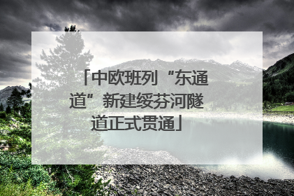 中欧班列“东通道”新建绥芬河隧道正式贯通