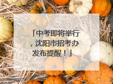 中考即将举行，沈阳市招考办发布提醒！