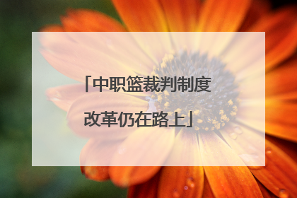 中职篮裁判制度改革仍在路上
