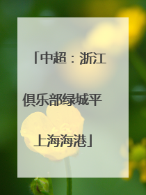中超：浙江俱乐部绿城平上海海港