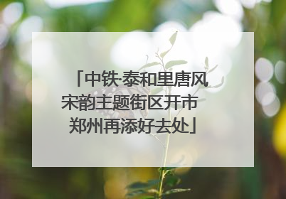 中铁·泰和里唐风宋韵主题街区开市 郑州再添好去处