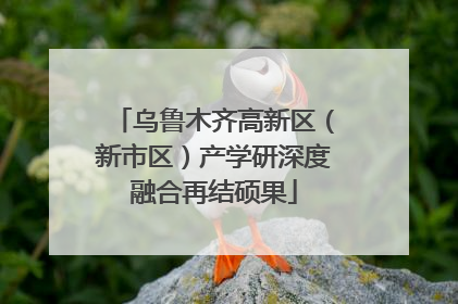 乌鲁木齐高新区（新市区）产学研深度融合再结硕果