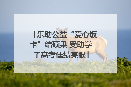乐助公益“爱心饭卡”结硕果 受助学子高考佳绩亮眼
