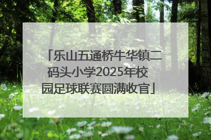 乐山五通桥牛华镇二码头小学2025年校园足球联赛圆满收官