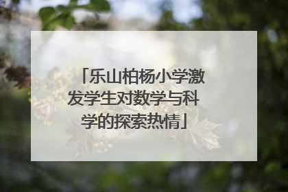 乐山柏杨小学激发学生对数学与科学的探索热情