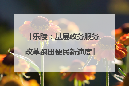 乐陵：基层政务服务改革跑出便民新速度